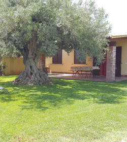 Le Antiche Macine